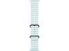 Apple Watch 49mm Black Titanium Ocean Band (ice blue) Armband
