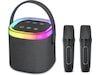 Andersson KEM-D3000 Bärbar karaokehögtalare med 2 mikrofoner Trådlös / Bluetooth högtalare