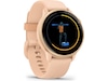 Garmin Vivoactive 6 AMOLED 42mm GPS (pink dawn) Smartwatches
