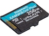 Kingston Canvas Go! Plus microSD 256GB Minneskort