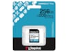 Kingston Canvas Go! Plus SDXC 256GB Minneskort