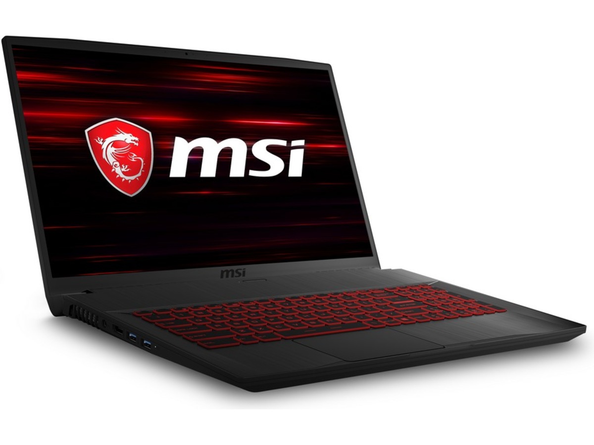 Écran Portable 17.3" FHD IPS 144Hz 40 Broches Pour MSI GF75 - Remplacement, Occasion Testé (Grade A/B/C)