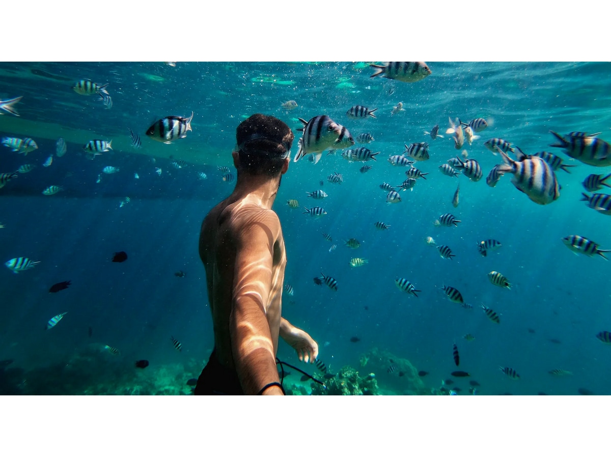 GoPro HERO11 Black Mini Protective Dive Housing Tillbehörssatser till kameror