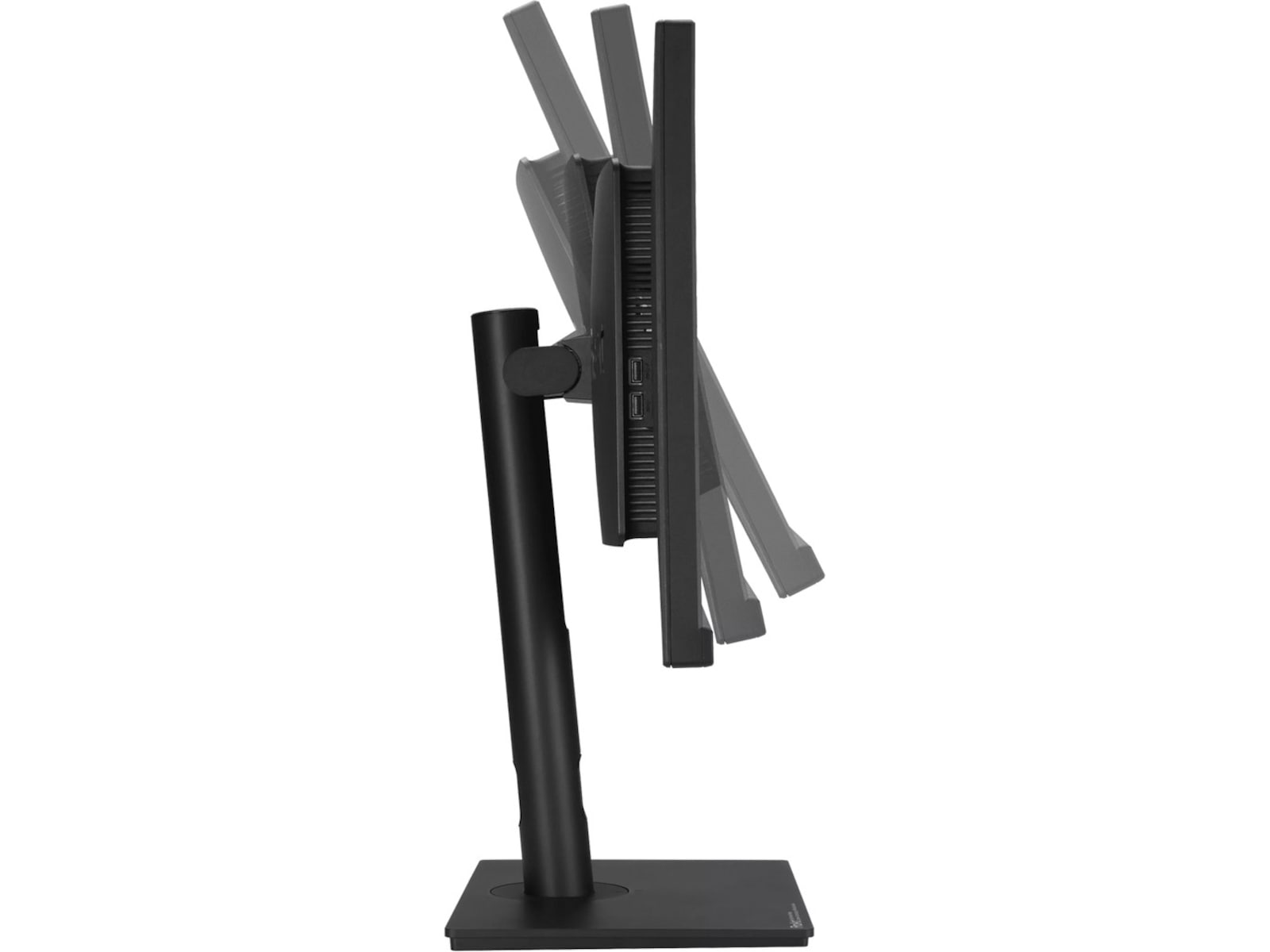 ASUS 34" skärm ProArt PA348CGV Bildskärmar