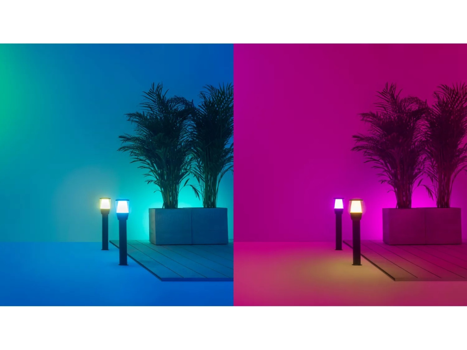 WiZ ELPAS 12V Startset med pollare Golvlampa