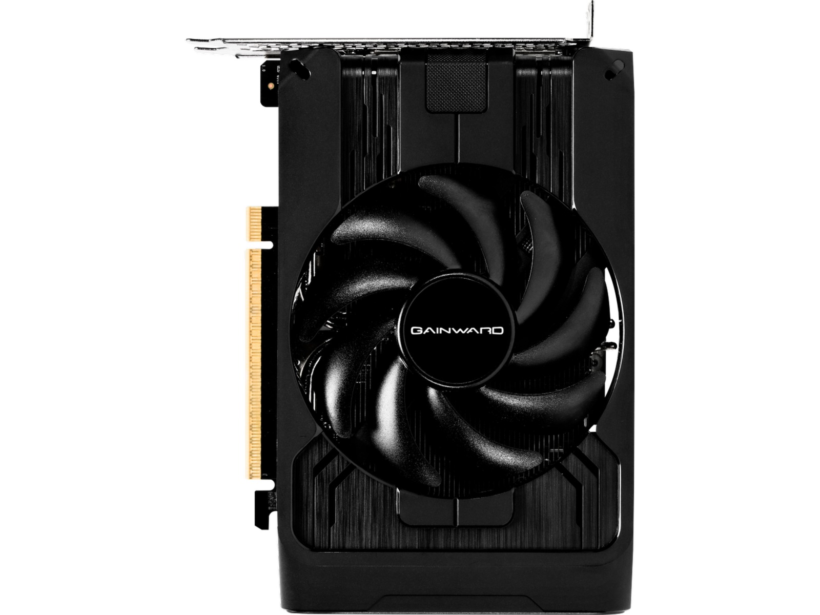 Gainward GeForce RTX 5050 Pegasus Grafikkort