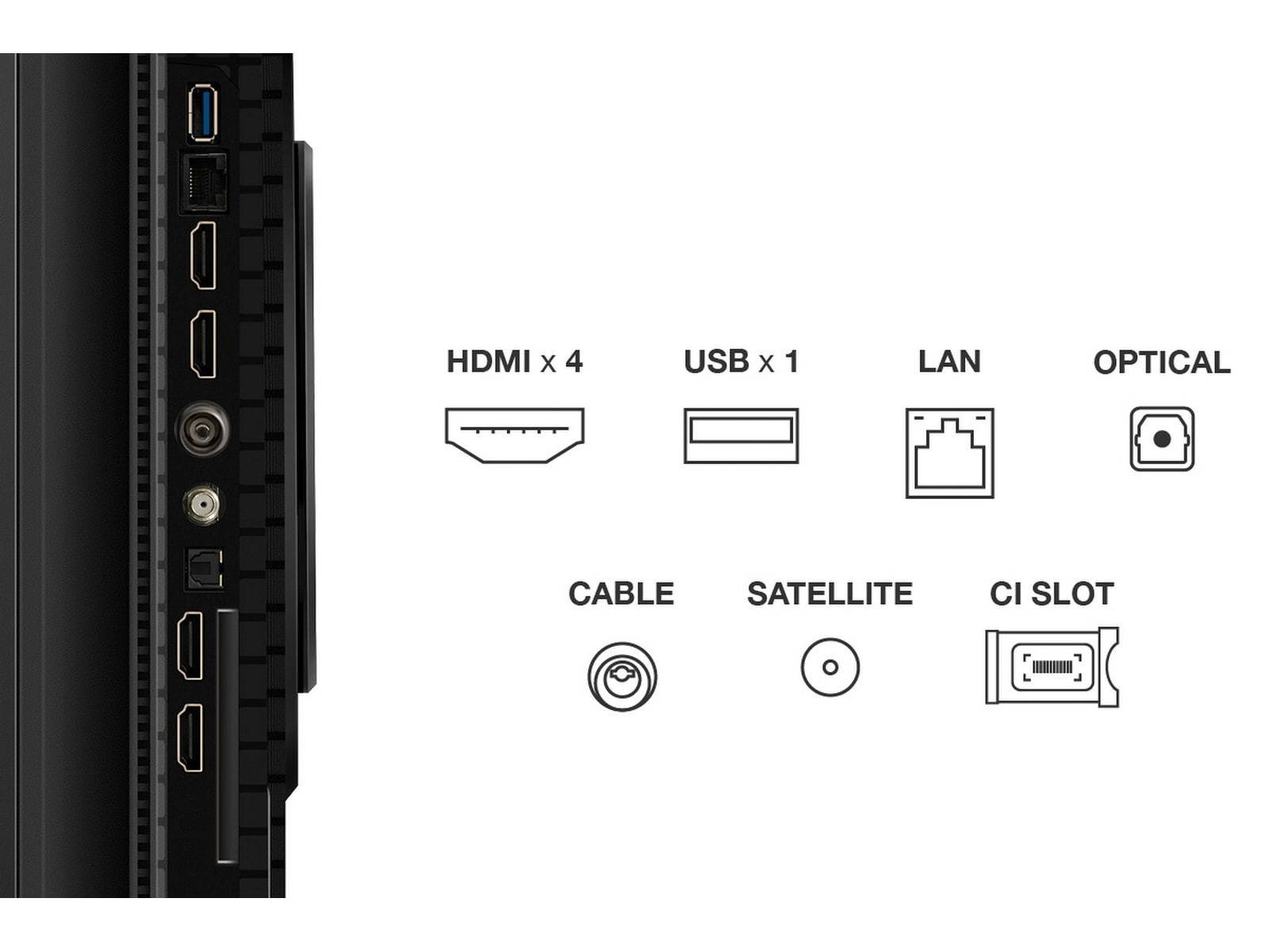 TCL 55" T8C 4K QLED Google TV 50 - 59 tums TV