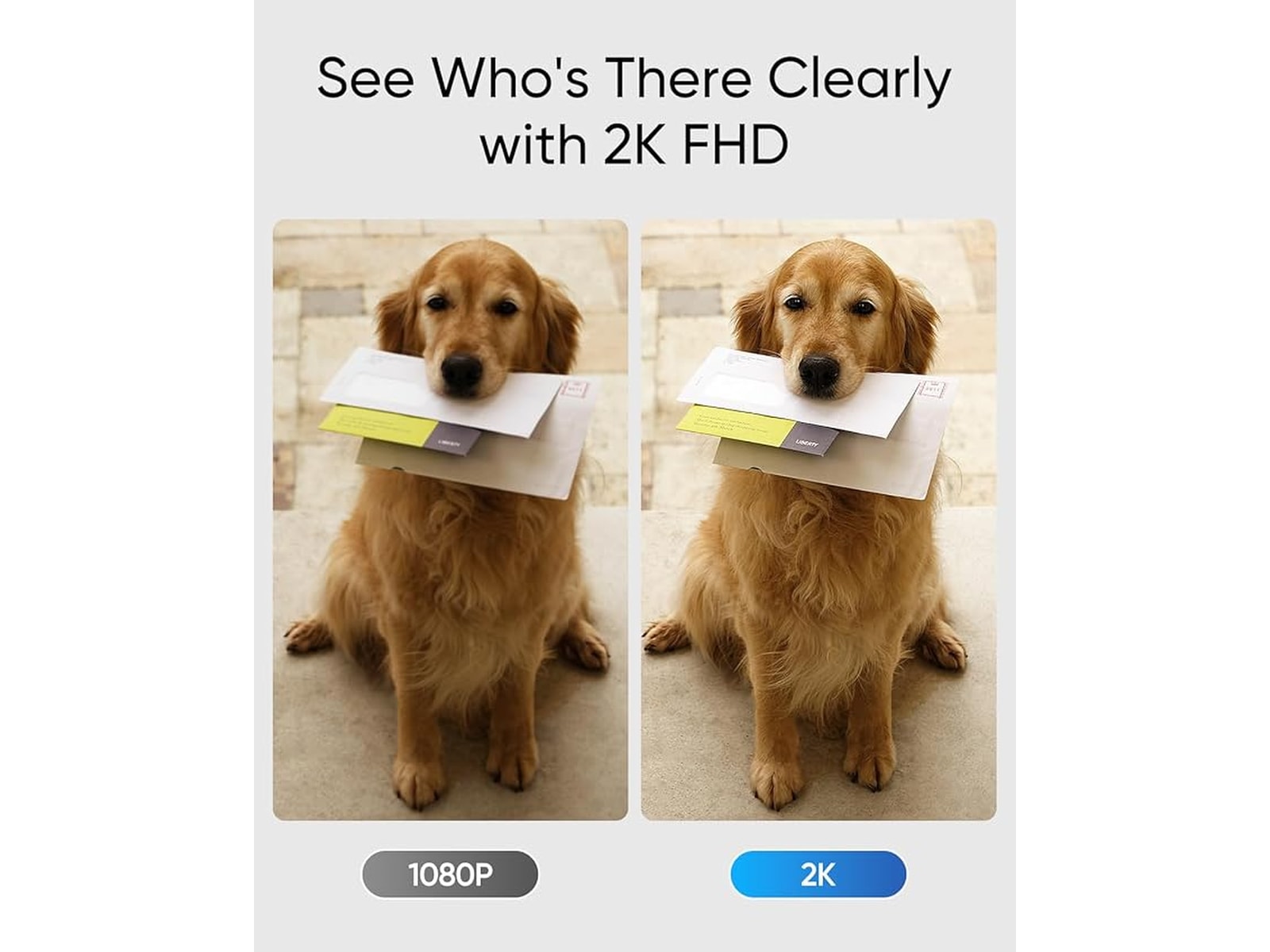 Eufy Video Doorbell C30 Ringklockor