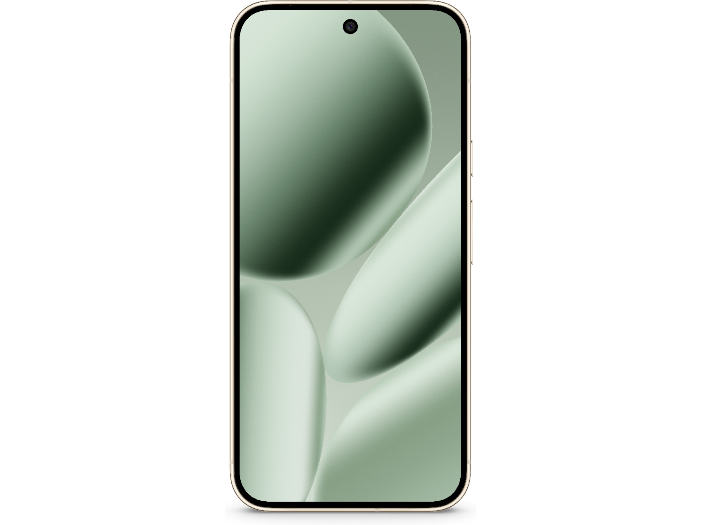 Google Pixel 10 Pro XL 256GB (jade) Mobiltelefoner
