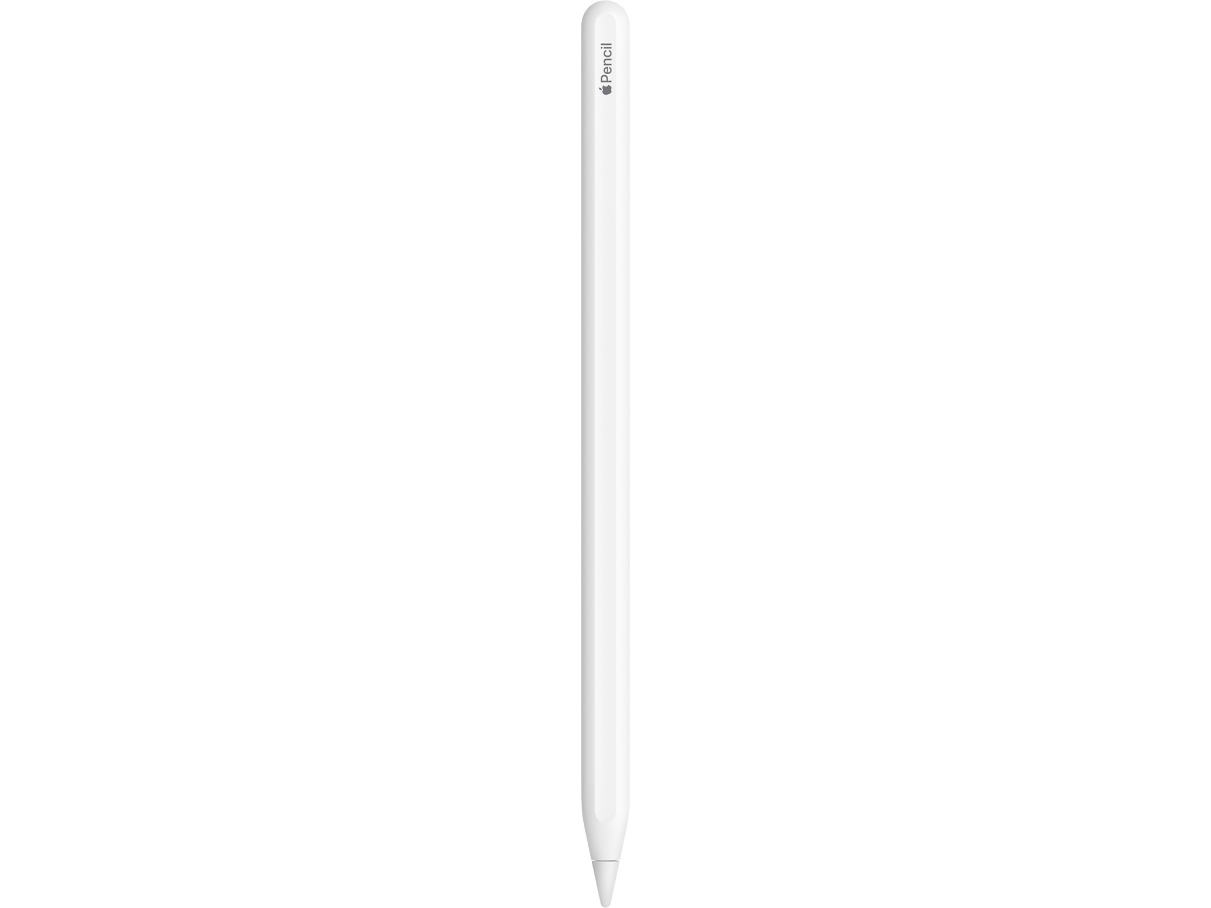 Apple Pencil (2:a gen) (vit) Tangentbord och pennor