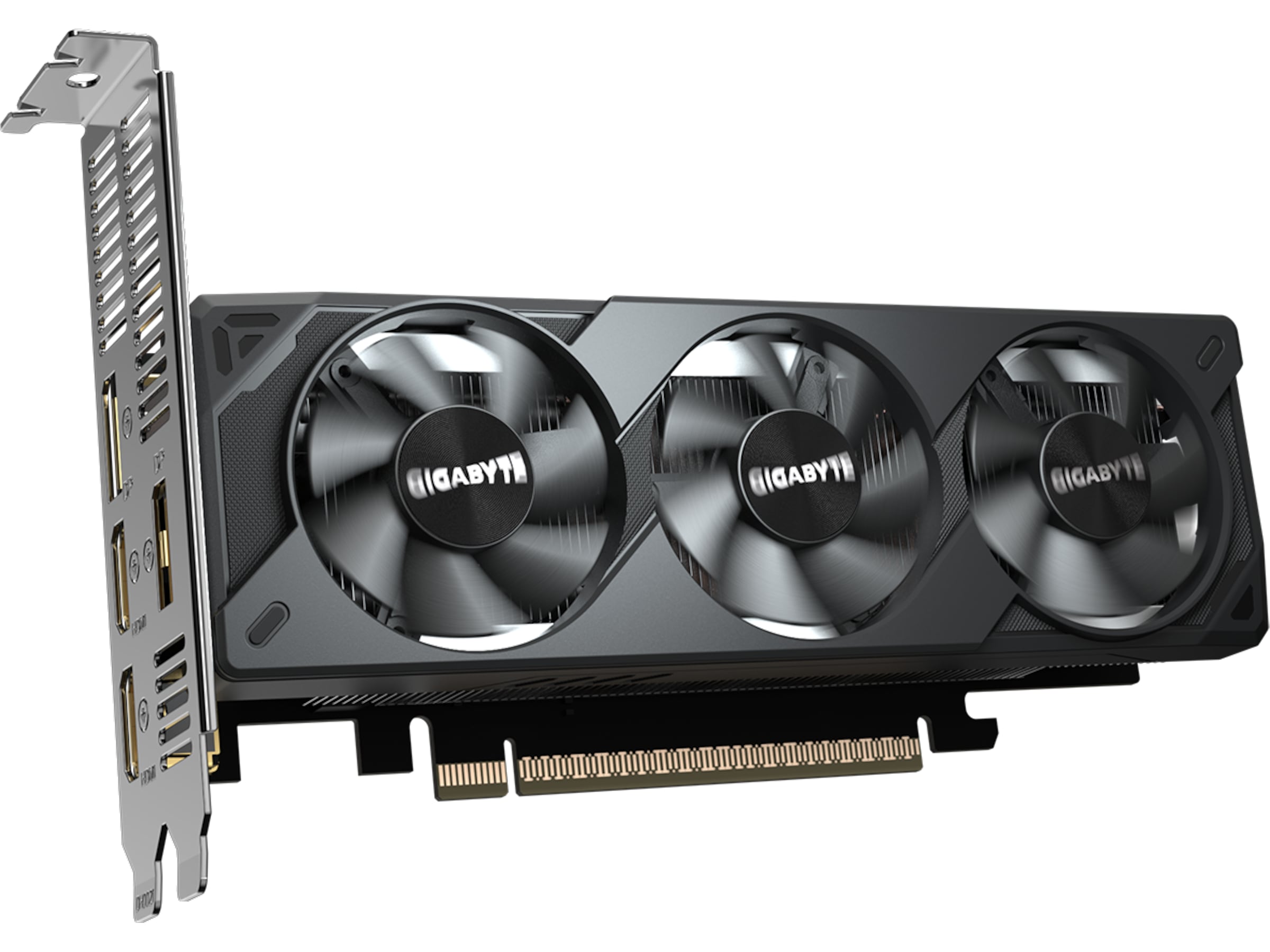 Gigabyte GeForce RTX 5050 OC Low Profile Grafikkort