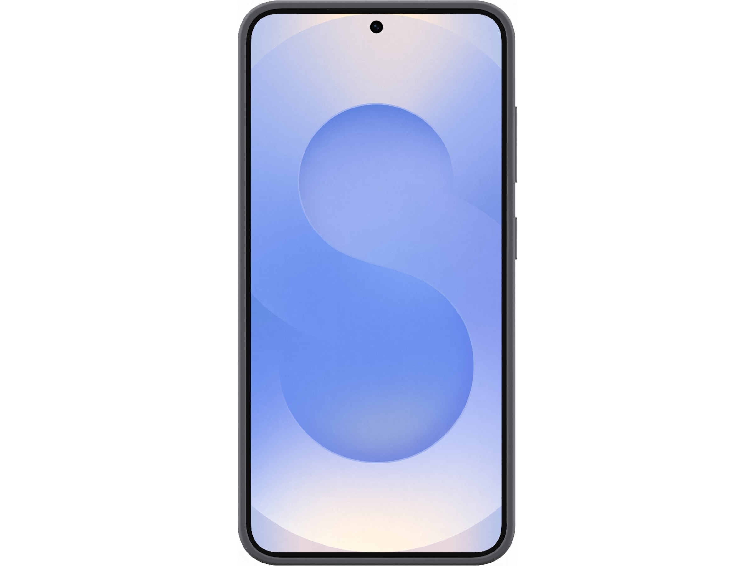 Samsung Galaxy S25 Silikonskal (svart) Mobilskal