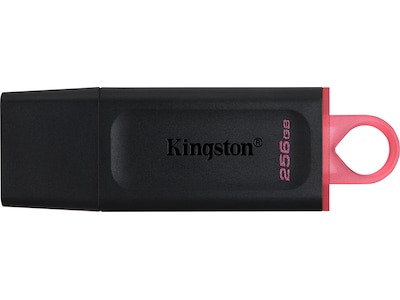 Kingston 256GB DataTraveler Exodia