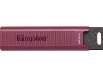 Kingston DataTraveler Max USB 256GB