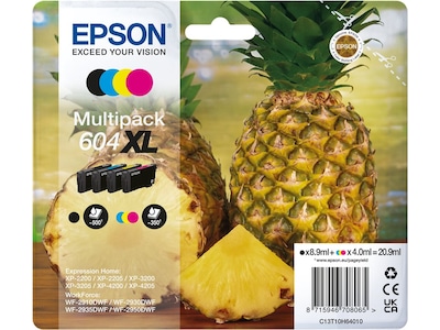 Epson bläck 604 XL multipack
