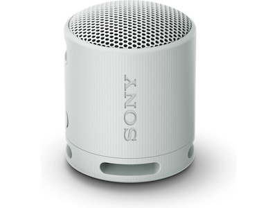 Sony SRS-XB100 trådlös bluetooth-högtalare (grå)