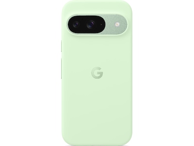 Google Pixel 9 / 9 Pro Silikonskal (wintergreen)