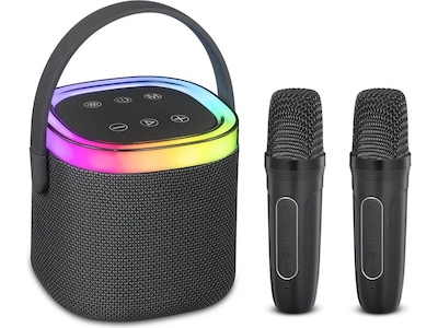 Andersson KEM-D3000 Bärbar karaokehögtalare med 2 mikrofoner