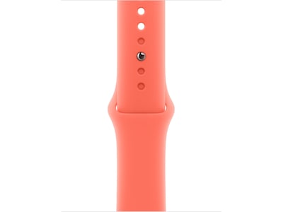 Apple Watch 42mm Sportband (mandarin)