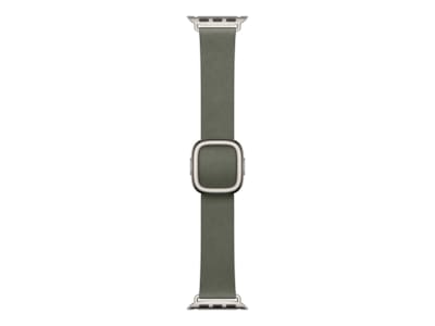 Apple Watch 42mm Modern Buckle (sage gray)