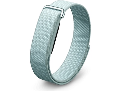 Google FitBit Air (Fog)