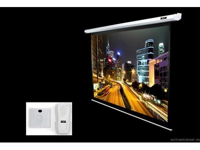 Elite Screens 125
