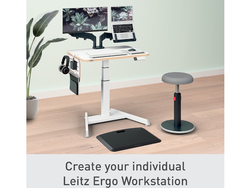 Leitz Ergo Förvaringstavla för skrivbord, Liten 42x25 cm Förvaring och organisation