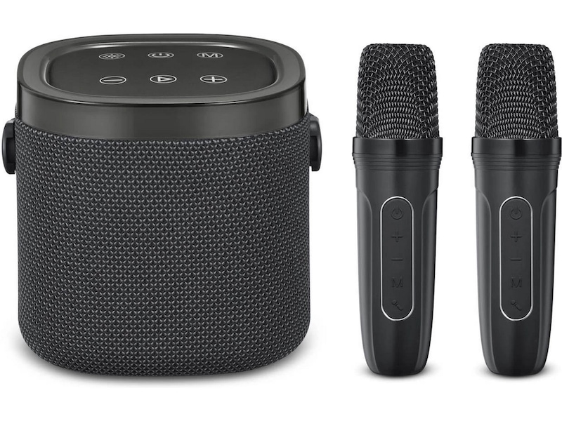 Andersson KEM-D3000 Bärbar karaokehögtalare med 2 mikrofoner Trådlös / Bluetooth högtalare