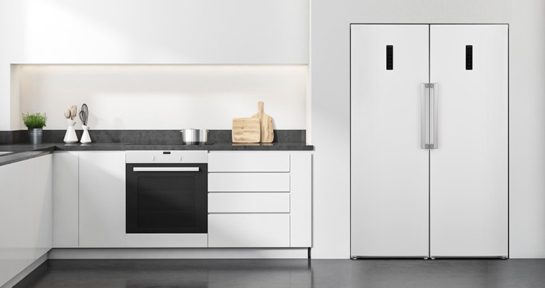 Bild på kylskåp och frys.