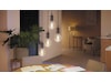 Philips Hue White ambiance Filament E27 Globe G93 LED-lampor & glödlampor