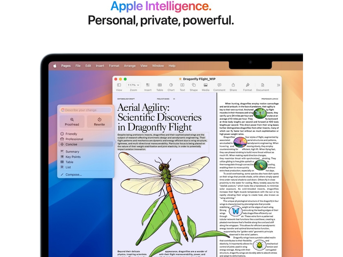 MacBook Air 15" M4 (2025) 256GB (himmelsblå) -B-Grade Demo bärbara datorer