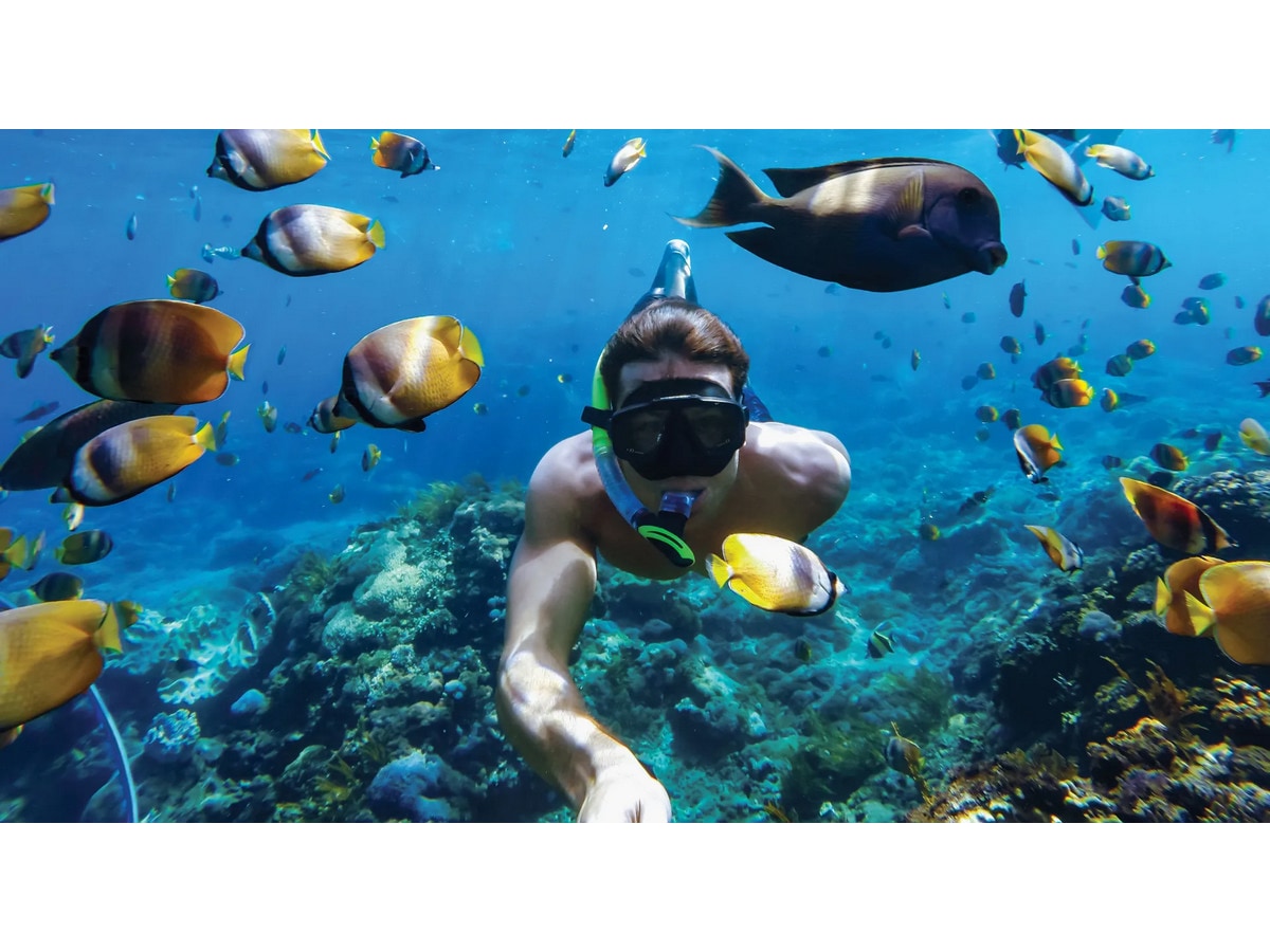 GoPro HERO11 Black Mini Protective Dive Housing Tillbehörssatser till kameror