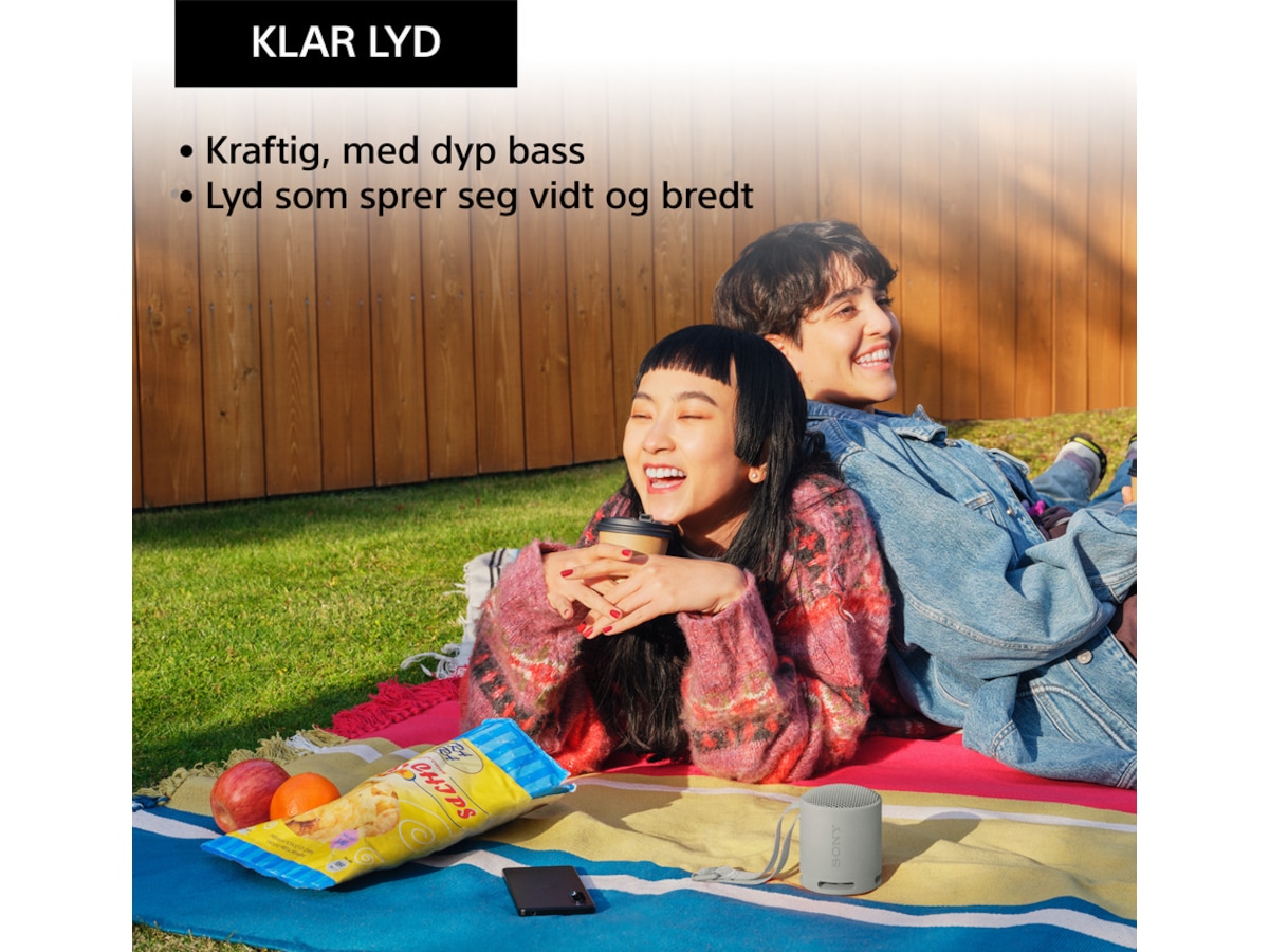 Sony SRS-XB100 trådlös bluetooth-högtalare (grå) Trådlös / Bluetooth högtalare