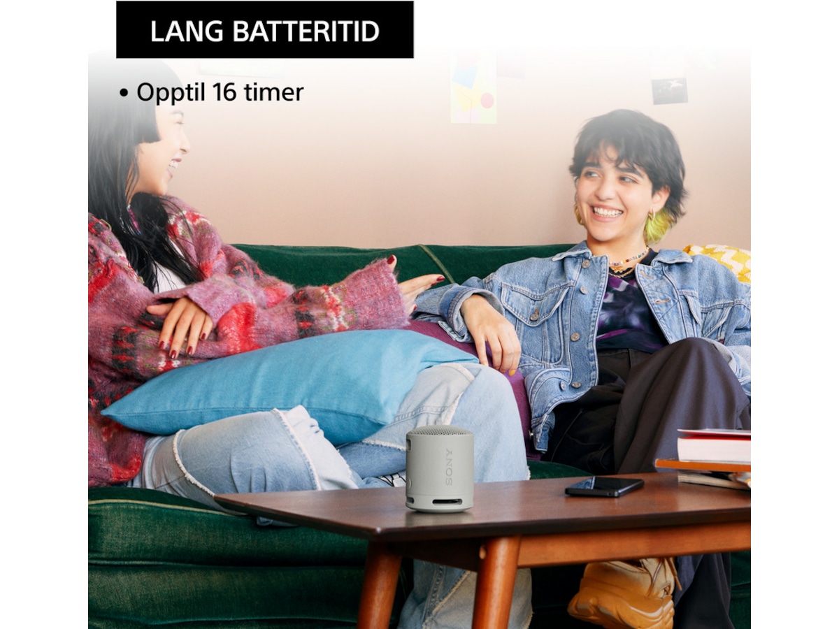 Sony SRS-XB100 trådlös bluetooth-högtalare (grå) Trådlös / Bluetooth högtalare