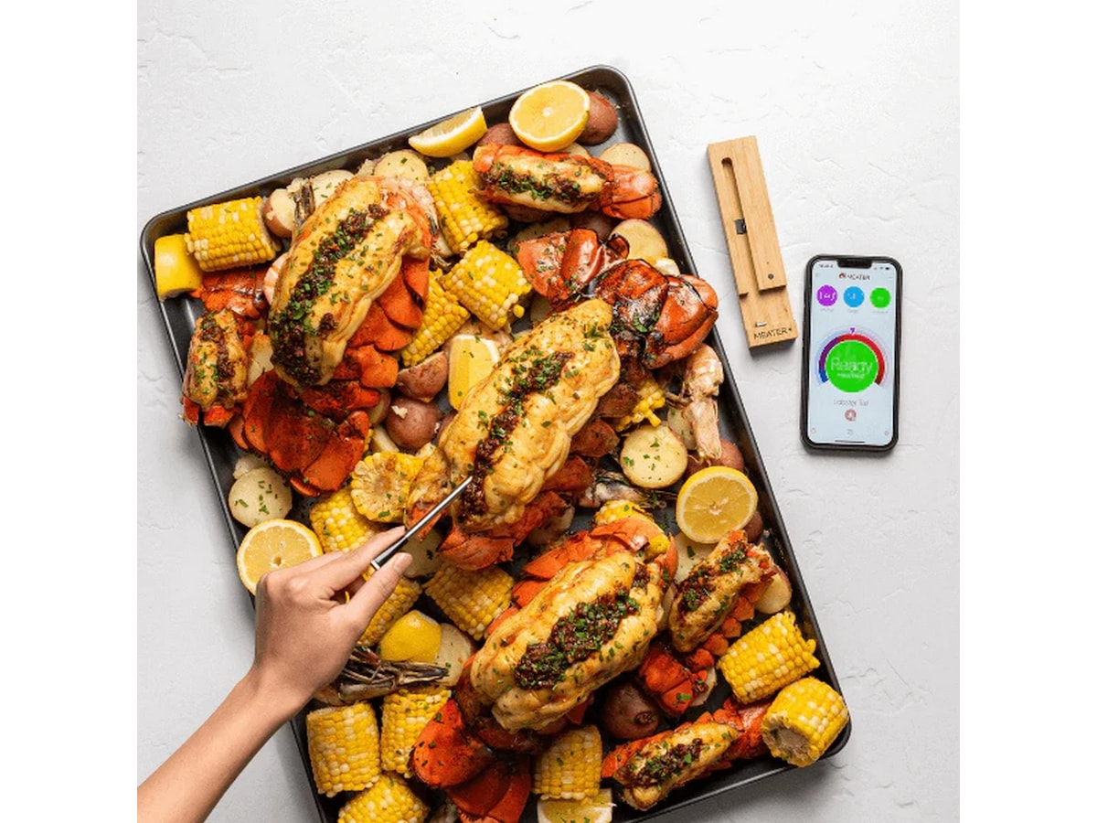 MEATER Plus Smart Thermometer Övriga köksapparater