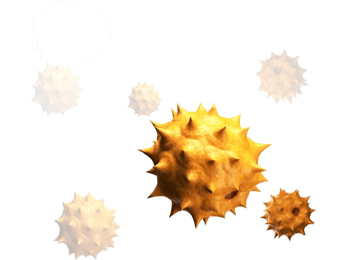 Smartmi Air Purifier 2 Luftrenare Luftrenare