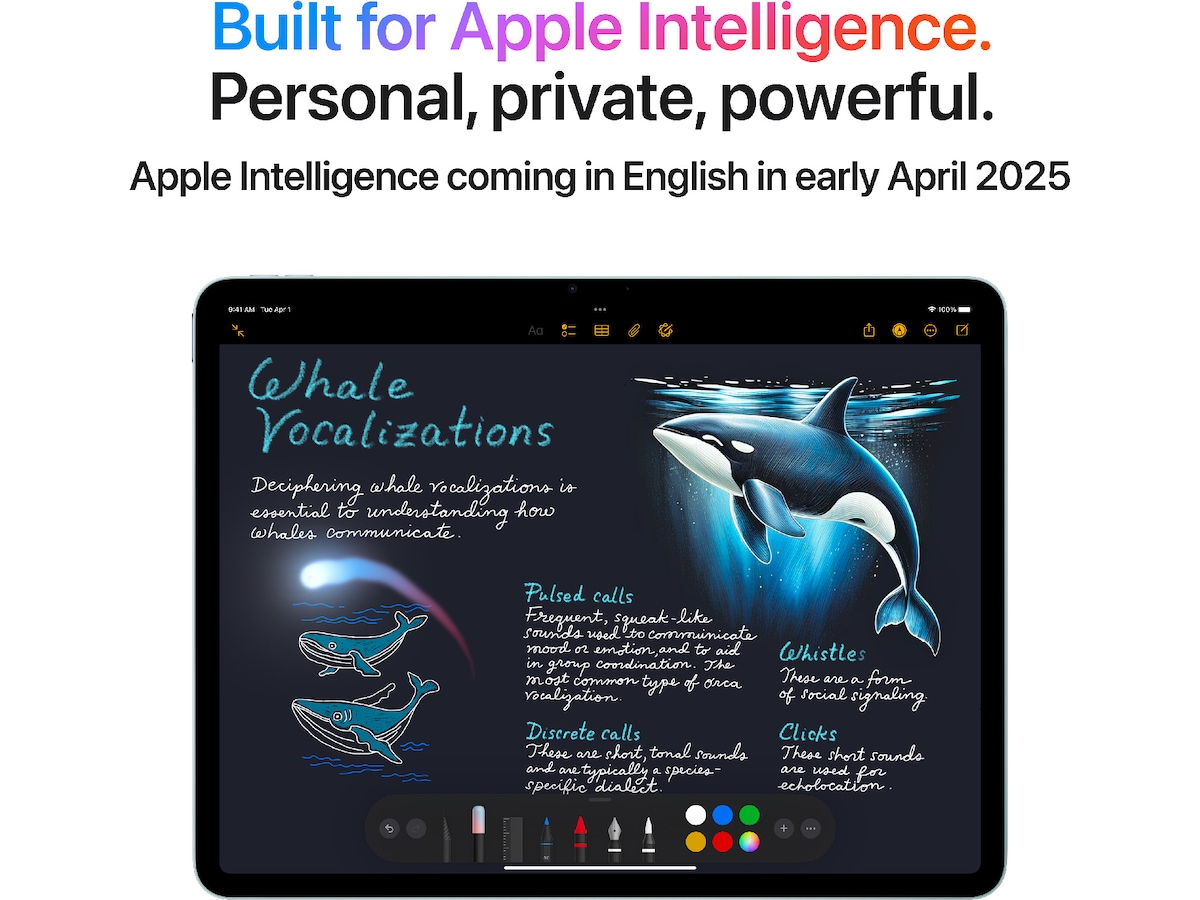iPad Air 13" (2025) 128GB 5G (rymdgrå) Surfplattor