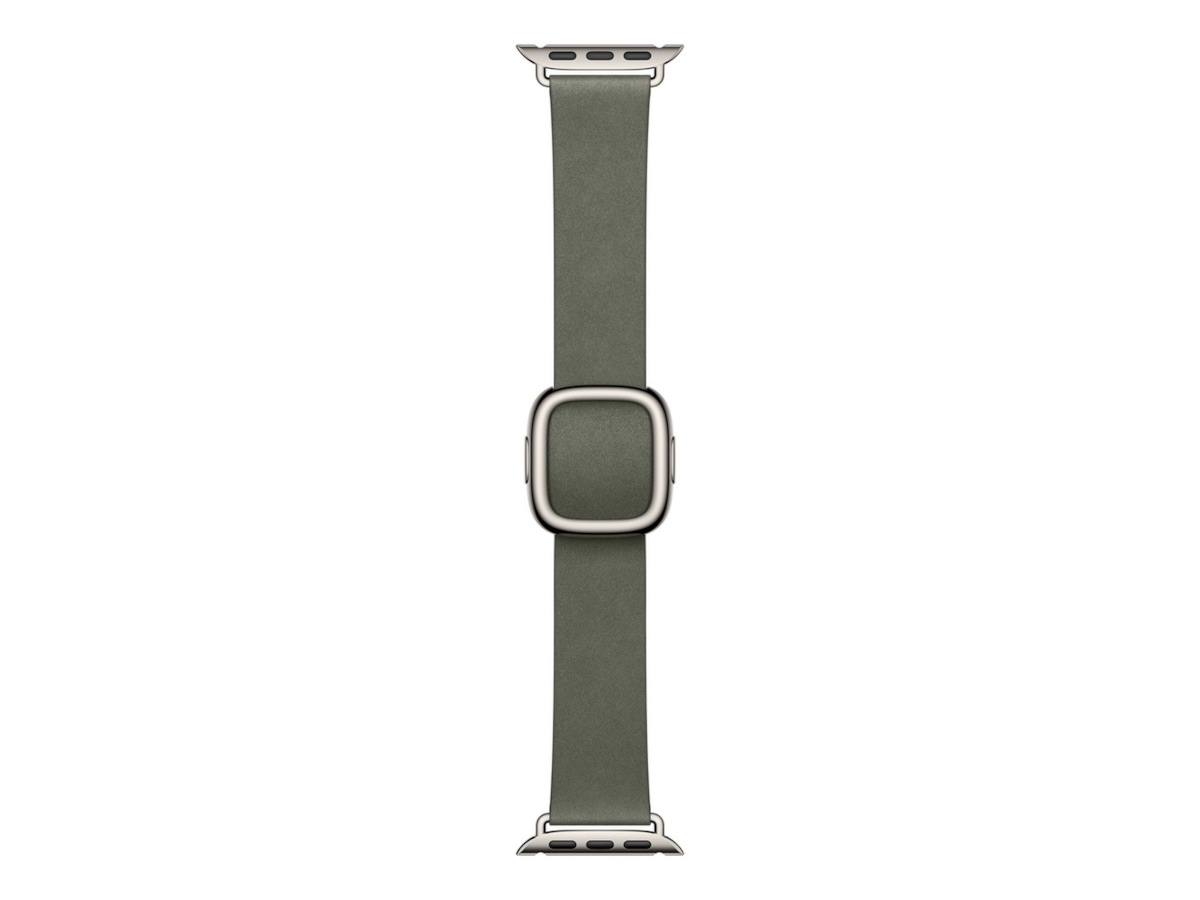 Apple Watch 42mm Modern Buckle (sage gray) Armband
