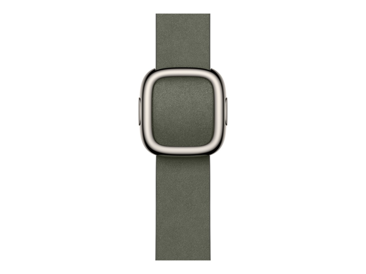 Apple Watch 42mm Modern Buckle (sage gray) Armband