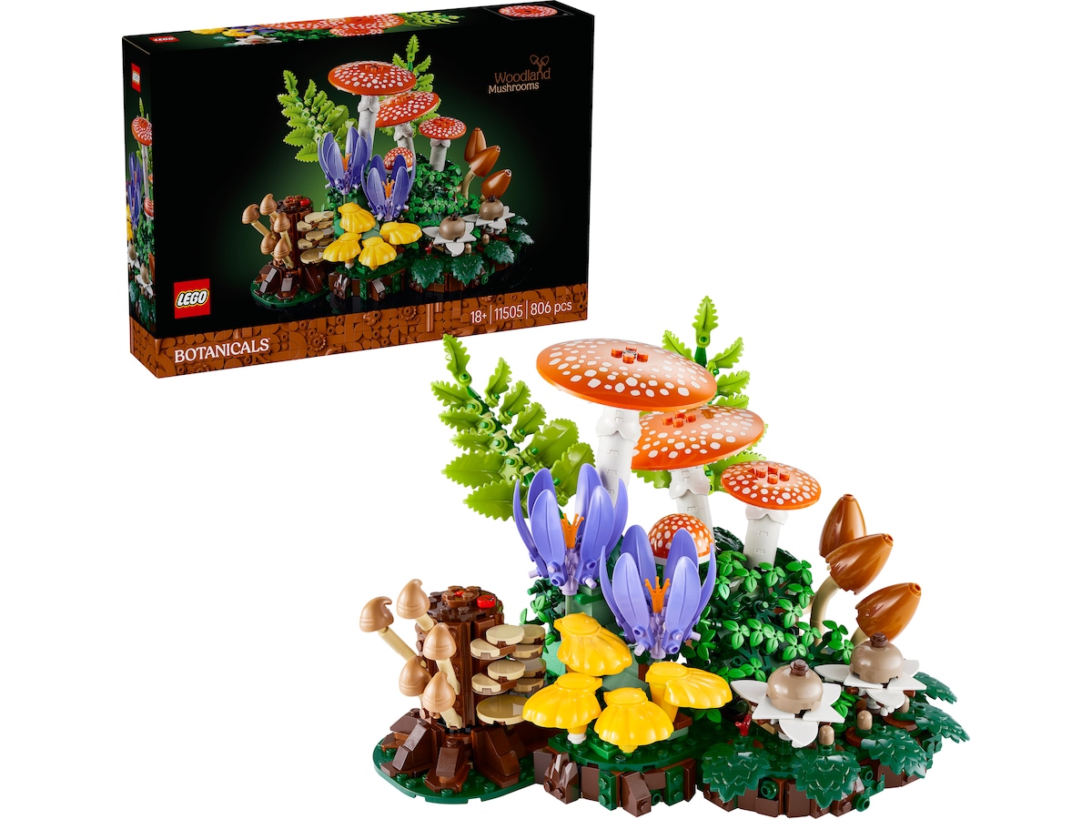 LEGO Botanicals Skogsopp 11505