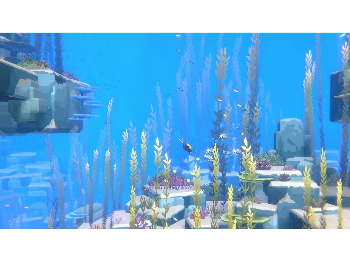 Dave the Diver Complete Edition Spill till Nintendo Switch 2