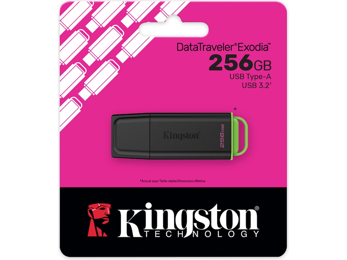 Kingston DataTraveler Exodia 256GB Minnepinne USB-minnen