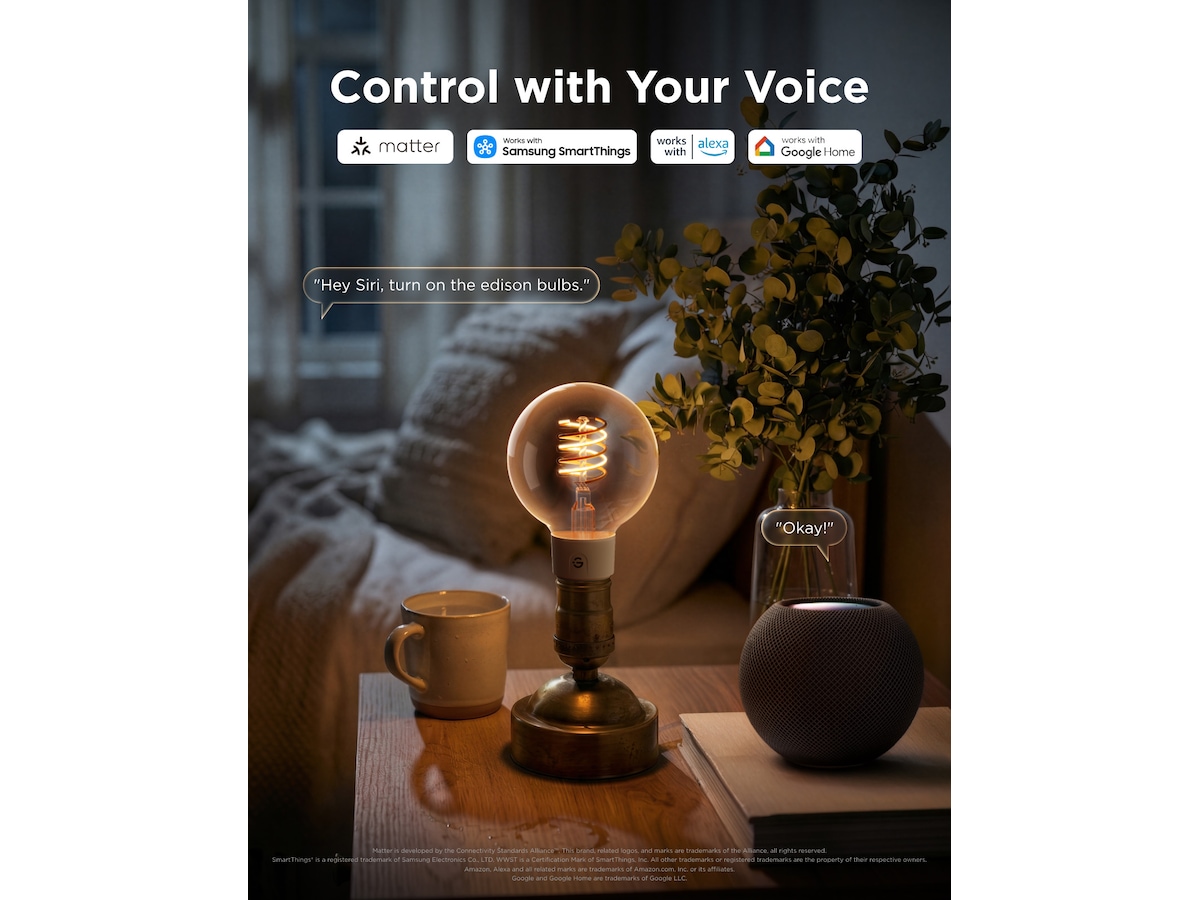Govee Smart Edison Lampor 2-pack LED-lampor & glödlampor