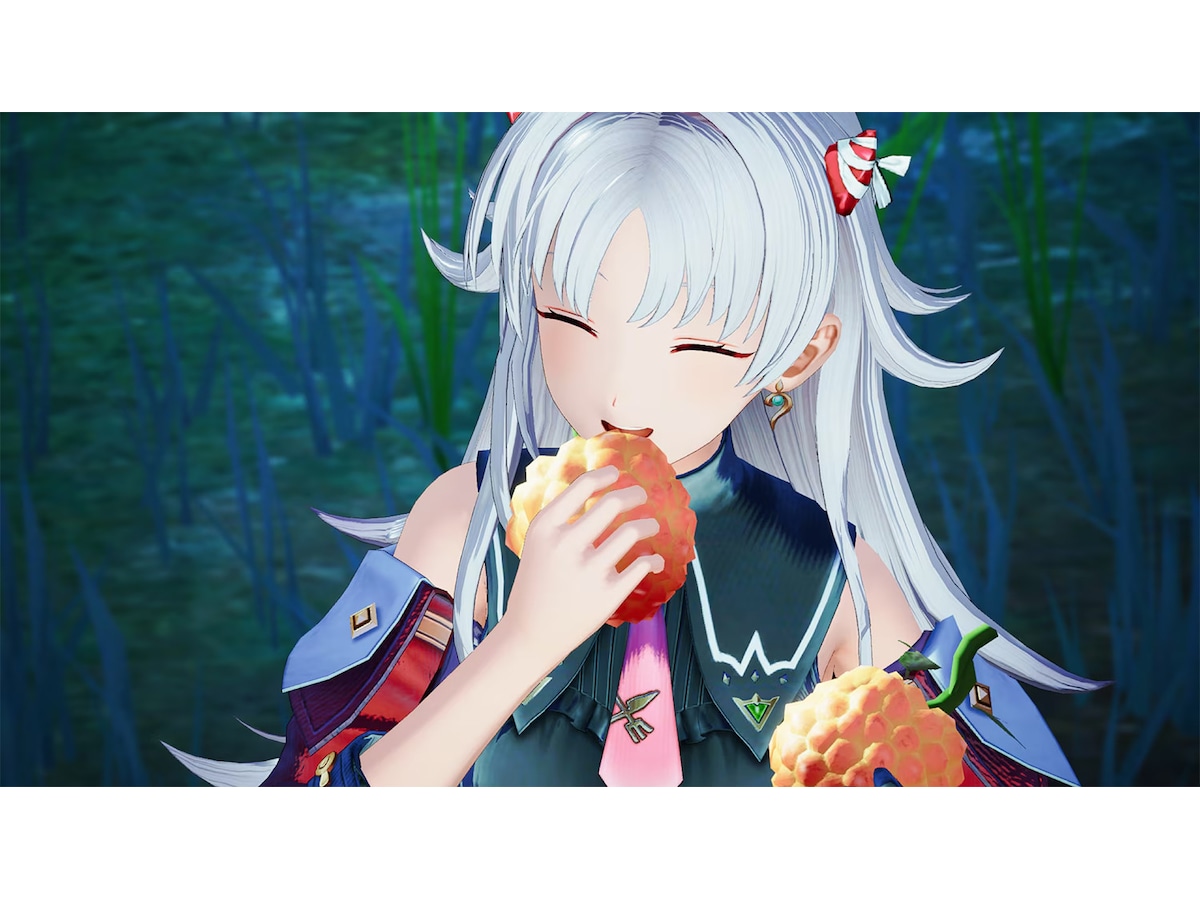 Atelier Karia: The Night Kingdom & the Guide of Memories Spill till Nintendo Switch 2