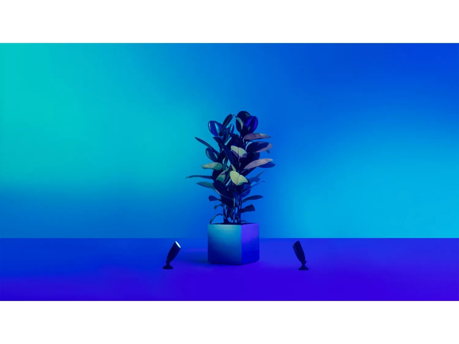 WiZ Utomhus 12V Markspot Startpaket Golvlampa