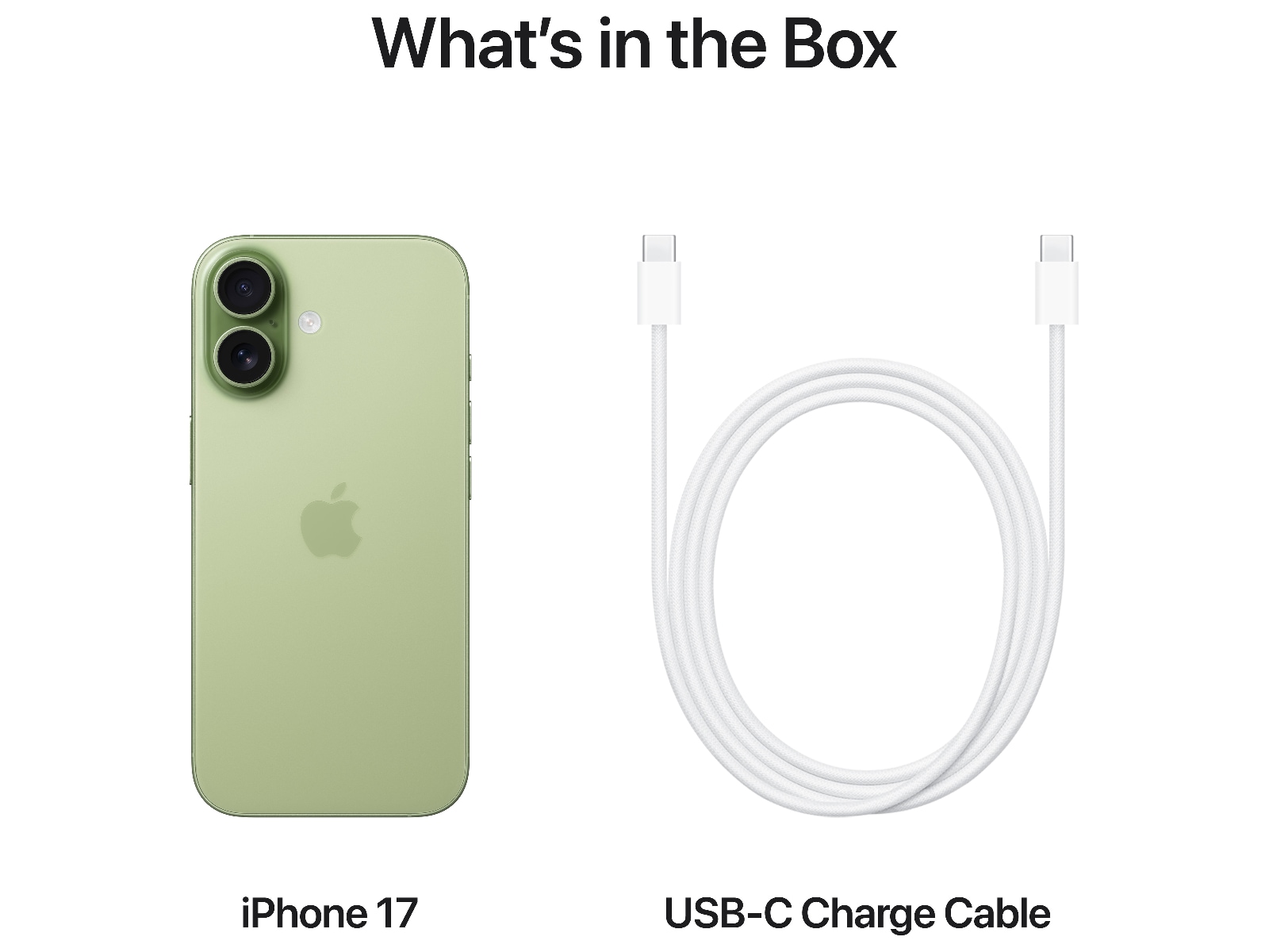 iPhone 17 256GB (salvia) Mobiltelefoner