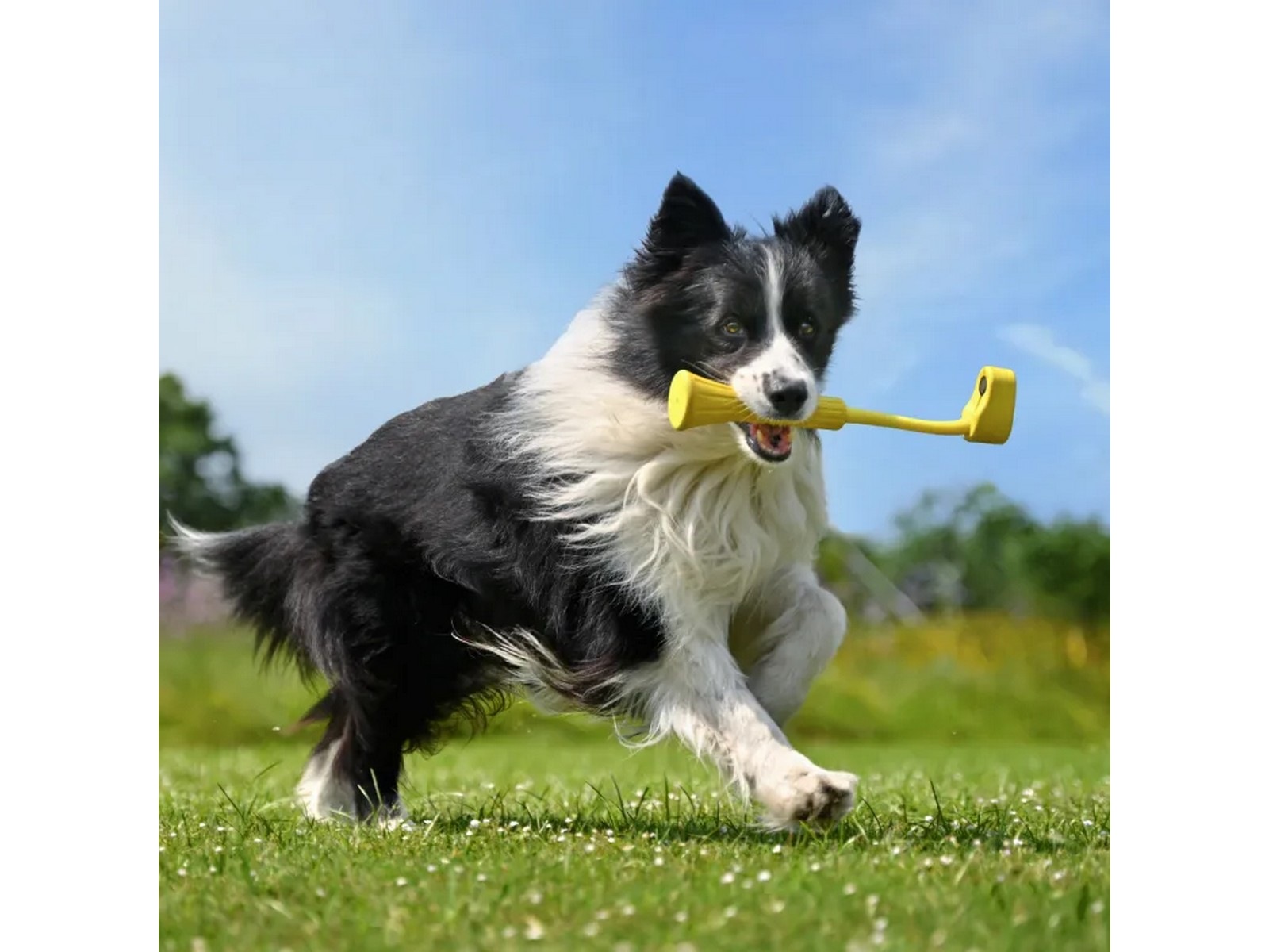 Insta360 GO 3 Fetch Stick Kameragrepp