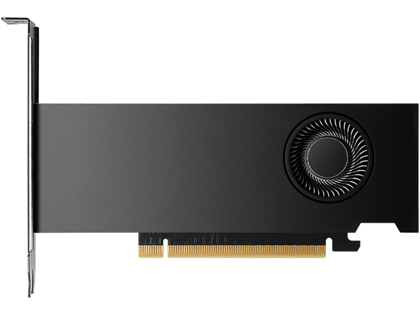 PNY Nvidia RTX 2000 Ada Generation Grafikkort