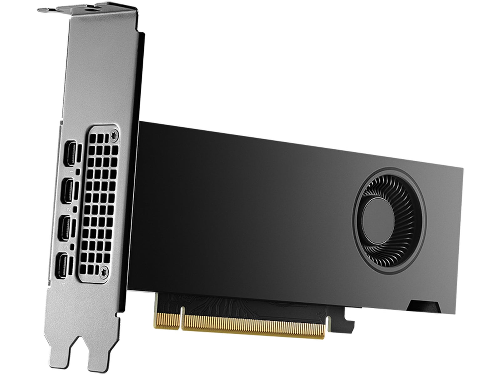 PNY Nvidia RTX 2000 Ada Generation Grafikkort
