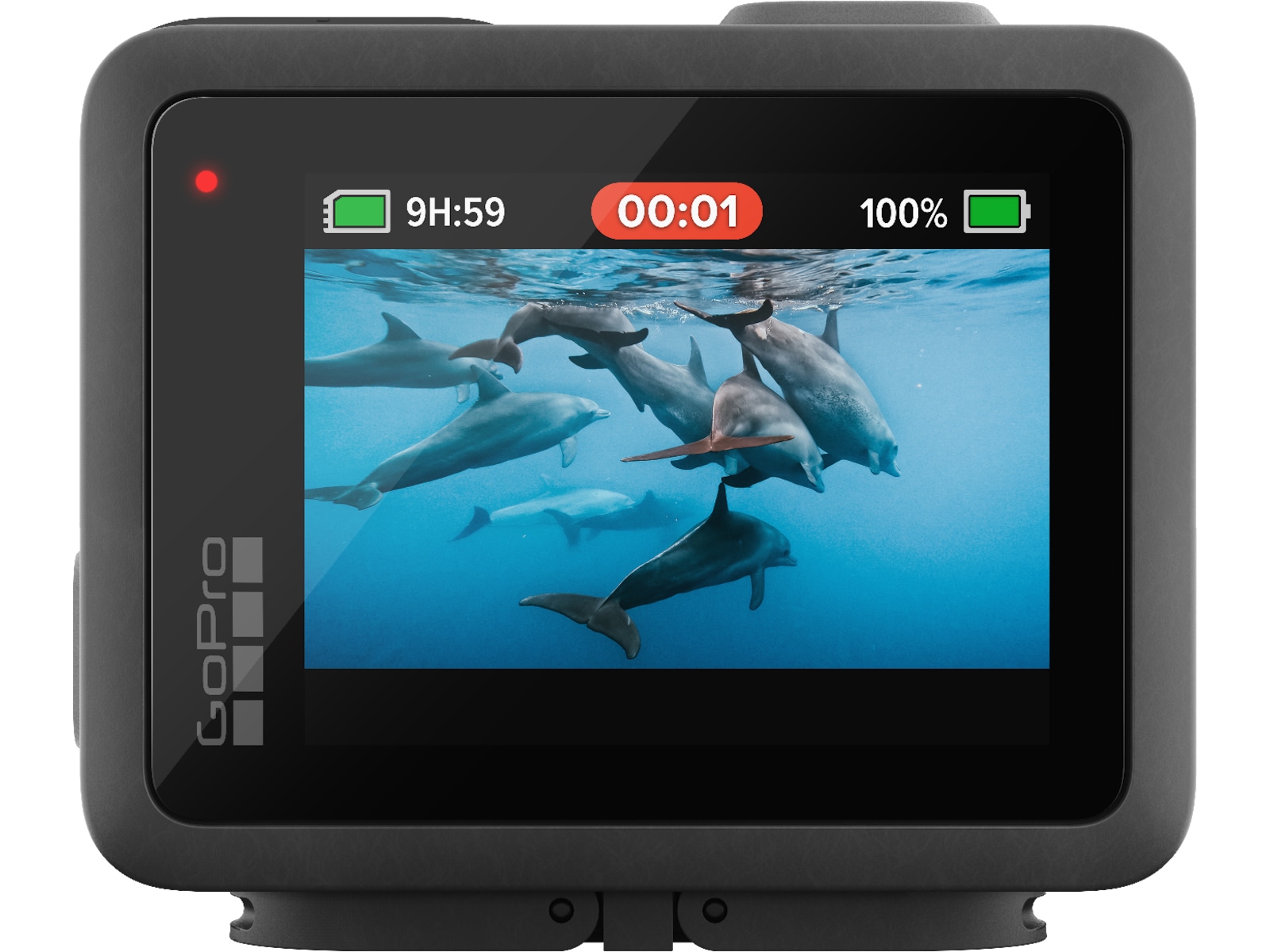 GoPro HERO (2024) -B-Grade Demo hem & hushåll